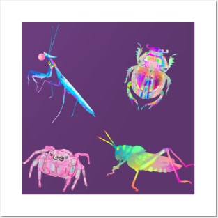 Rainbow Bugs Assortment Posters and Art
